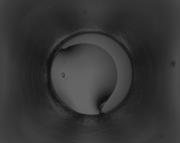 X0000091880684200710031121