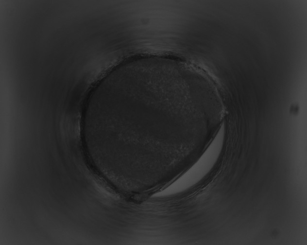 X0000091880685200710031121