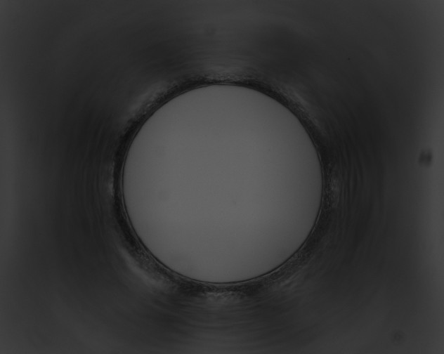 X0000091880686200710031121