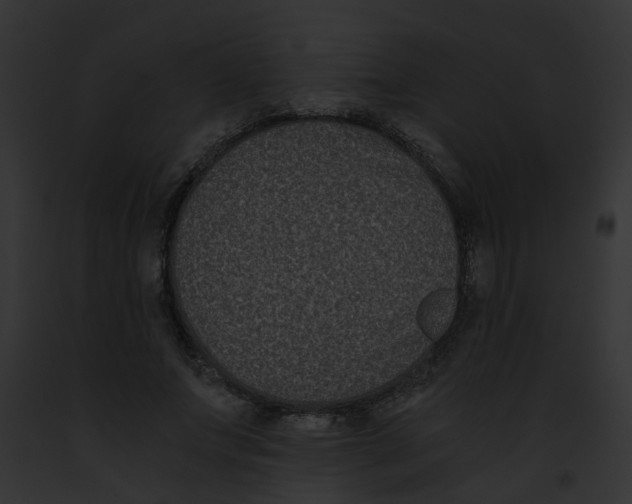 X0000091880687200710031121