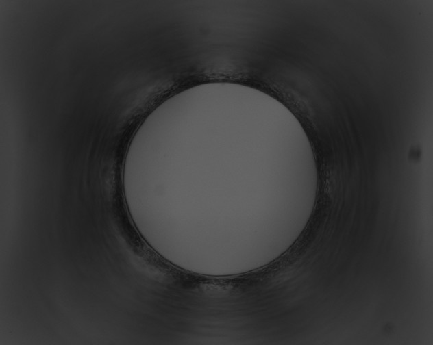 X0000091880690200710031121