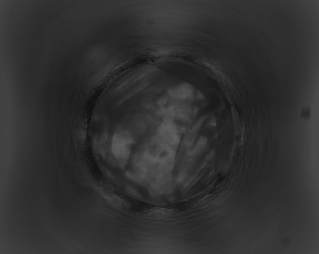 X0000091880691200710031121