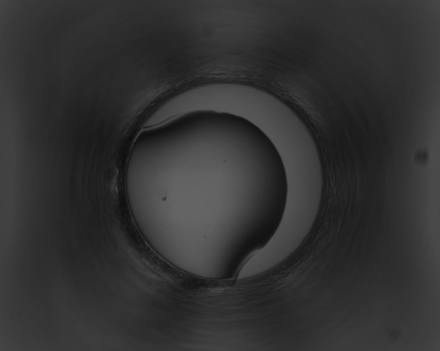 X0000091880692200710031121