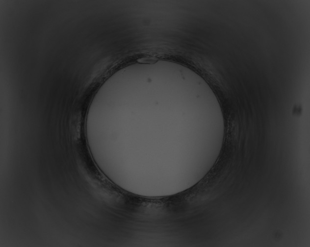 X0000091880694200710031121