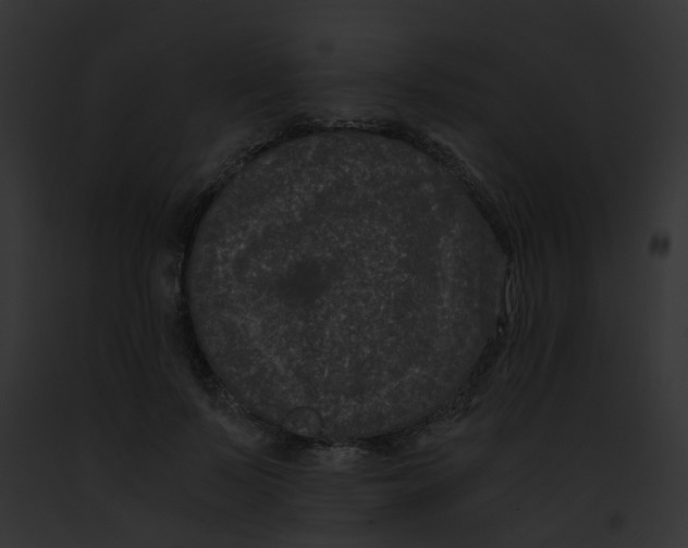 X0000091880695200710031121