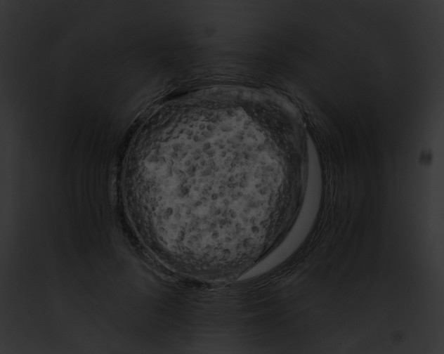 X0000091880696200710031121