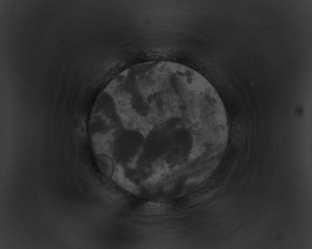 X0000091880699200710031121