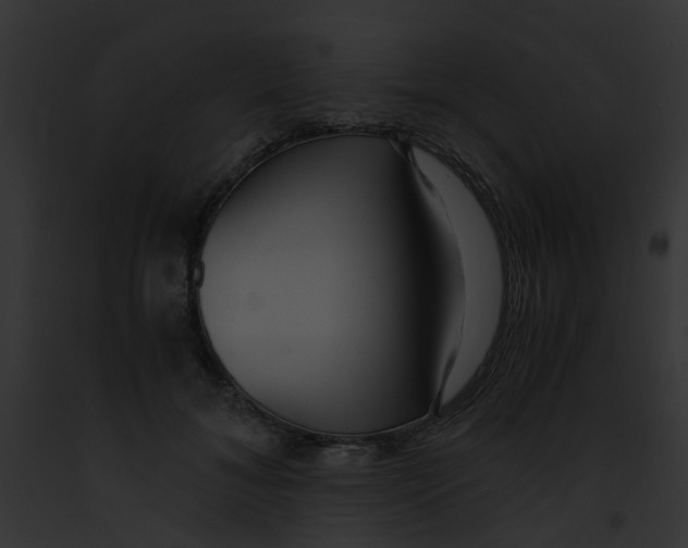 X0000091880700200710031121