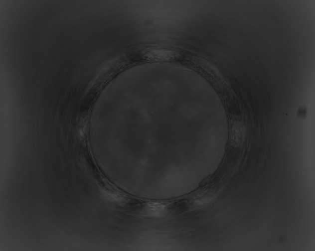 X0000091880701200710031121