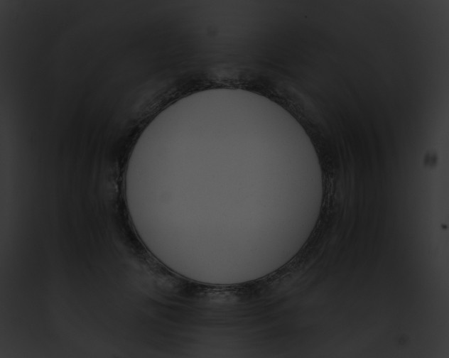 X0000091880702200710031121