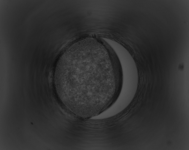 X0000091880708200710031121