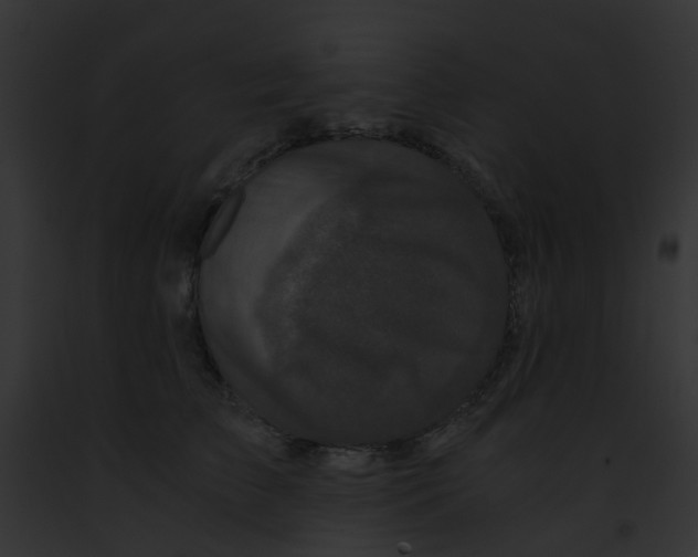 X0000091880709200710031121