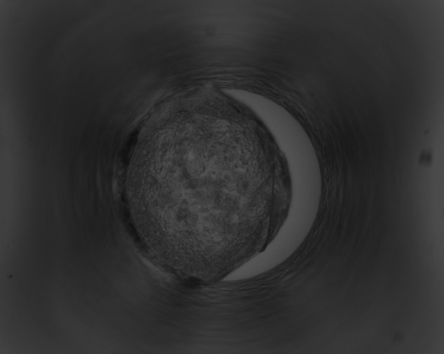 X0000091880712200710031121