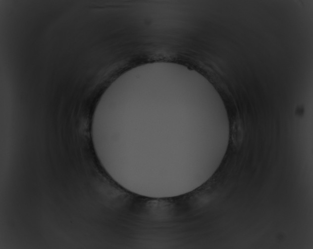 X0000091880714200710031121