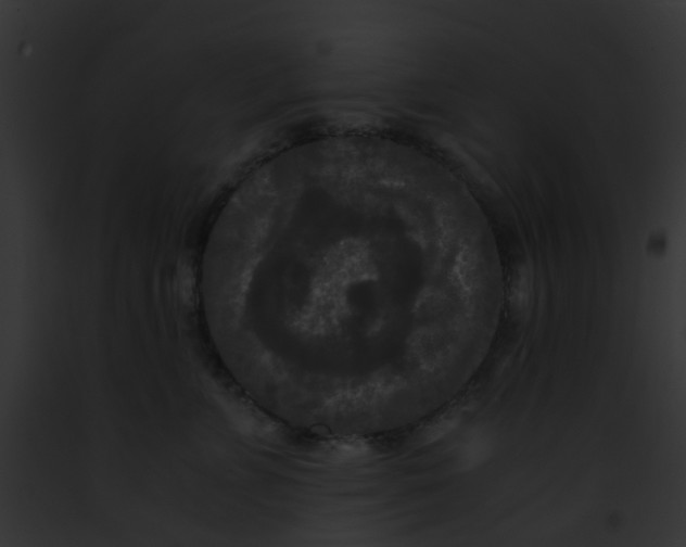 X0000091880715200710031121