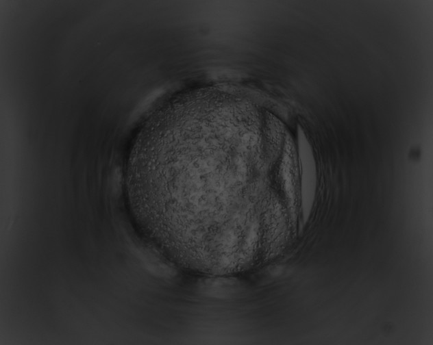 X0000091880716200710031121