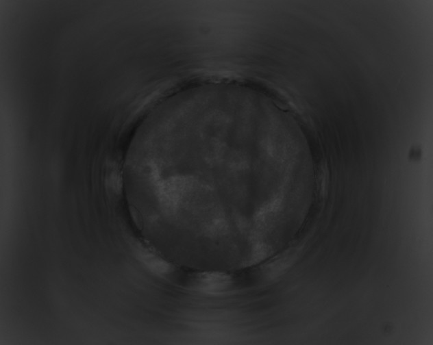 X0000091880719200710031121