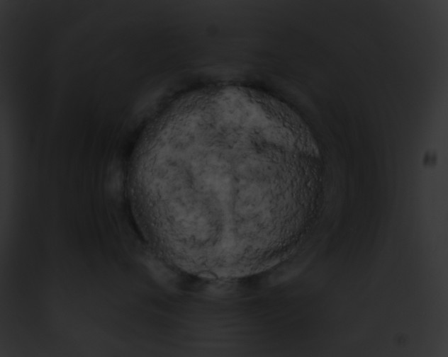 X0000091880720200710031121