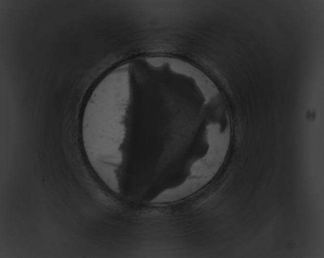 X0000091880721200710031120