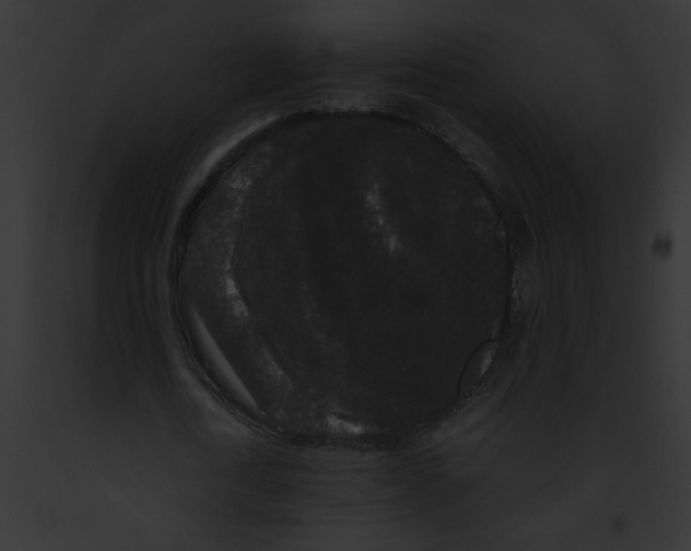 X0000091880722200710031120