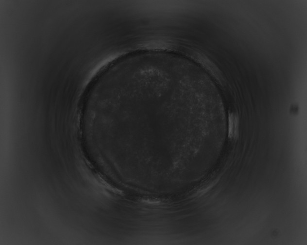 X0000091880723200710031120