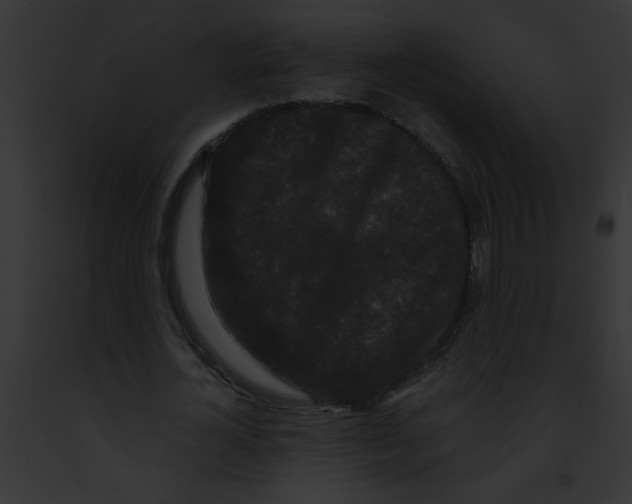 X0000091880724200710031120