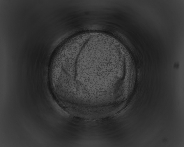 X0000091880725200710031120