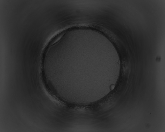 X0000091880728200710031120