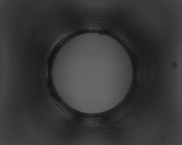 X0000091880731200710031120