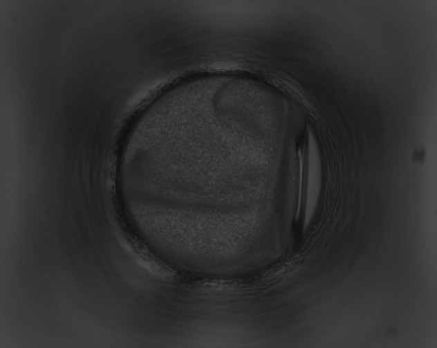 X0000091880732200710031120