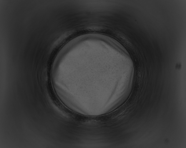 X0000091880734200710031120