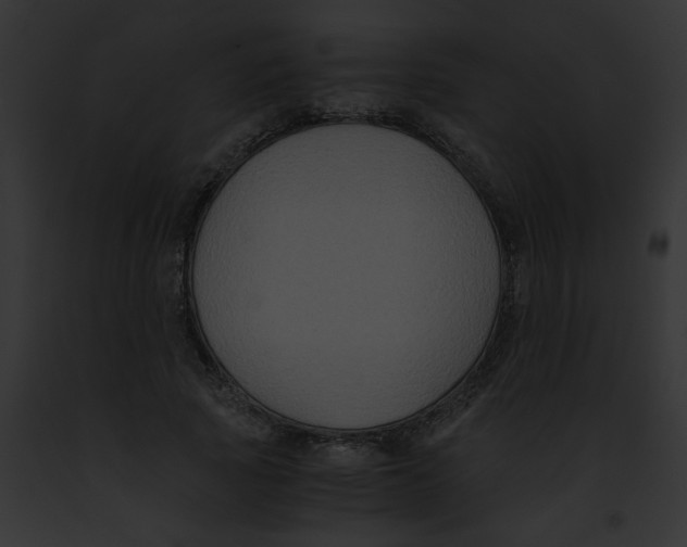 X0000091880737200710031120