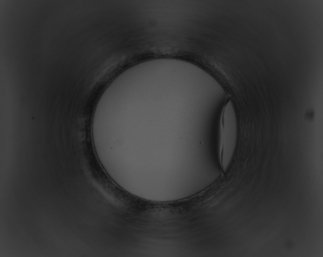 X0000091880738200710031120