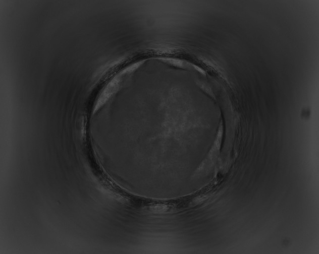 X0000091880740200710031120