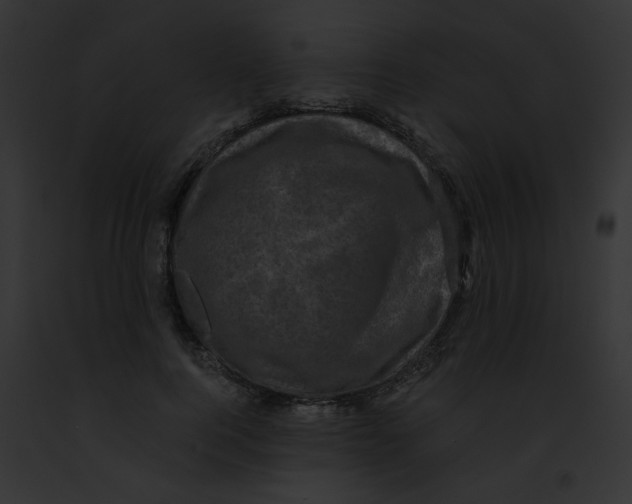 X0000091880744200710031120