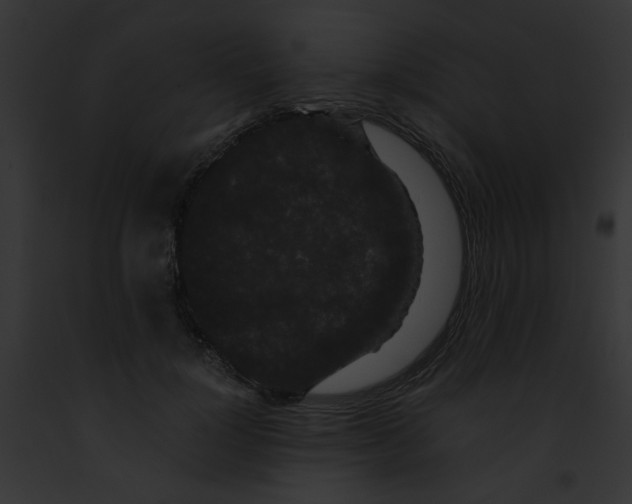 X0000091880748200710031121