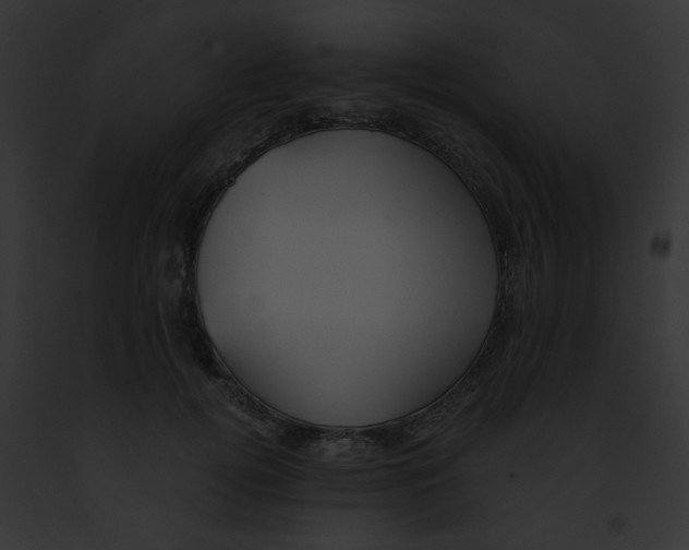 X0000091880752200710031121