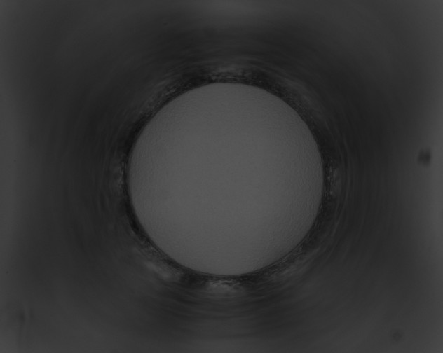 X0000091880753200710031121