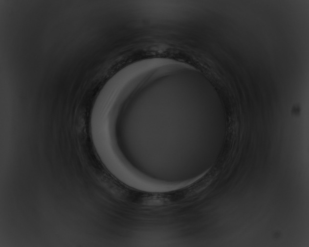 X0000091880754200710031121