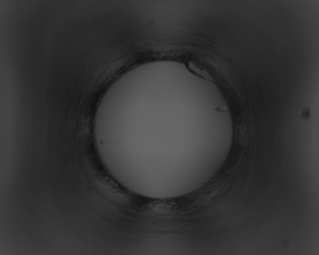 X0000091880756200710031121