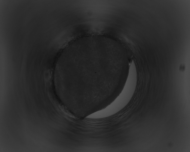 X0000091880759200710031121