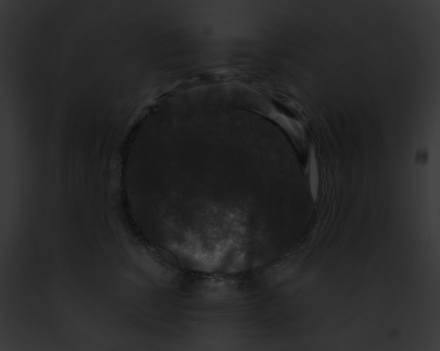 X0000091880760200710031121