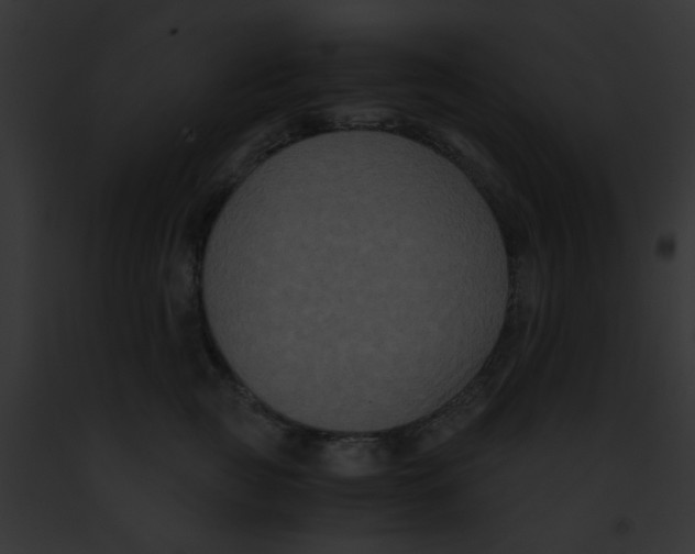 X0000091880761200710031121