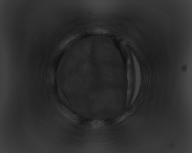 X0000091880762200710031121