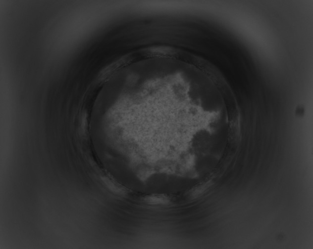 X0000091880765200710031121