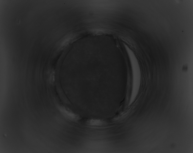 X0000091880766200710031121