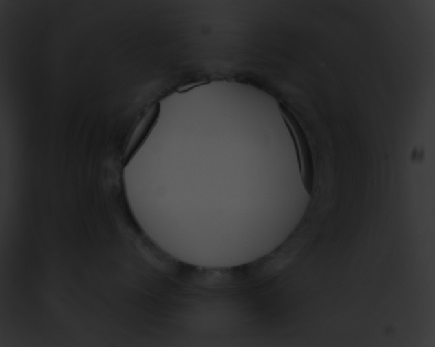 X0000091880768200710031121