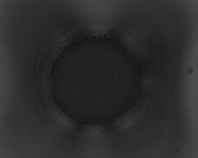 X0000091880769200710031120