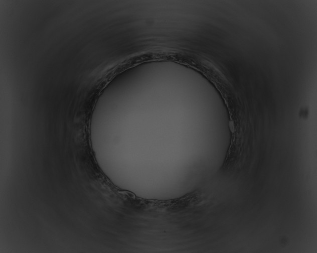 X0000091880773200710031120