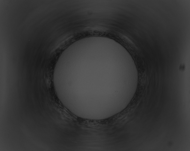 X0000091880774200710031120